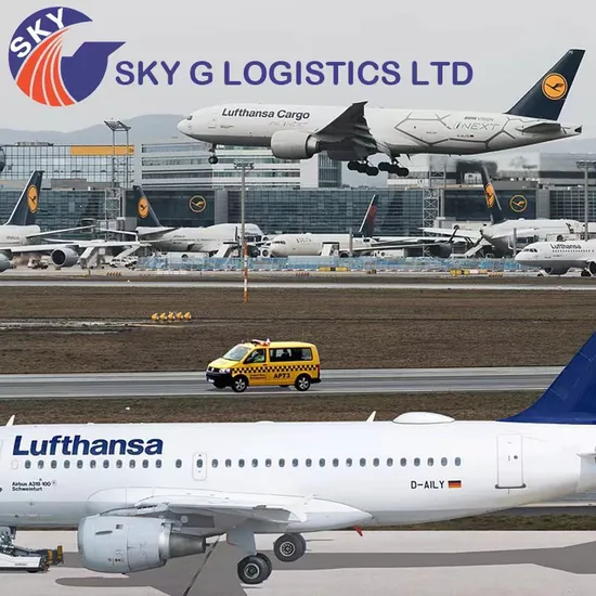 Dg Cargo International Logistics Shipping Rates LCL/FCL Service to Door Dg Cargo Shipping