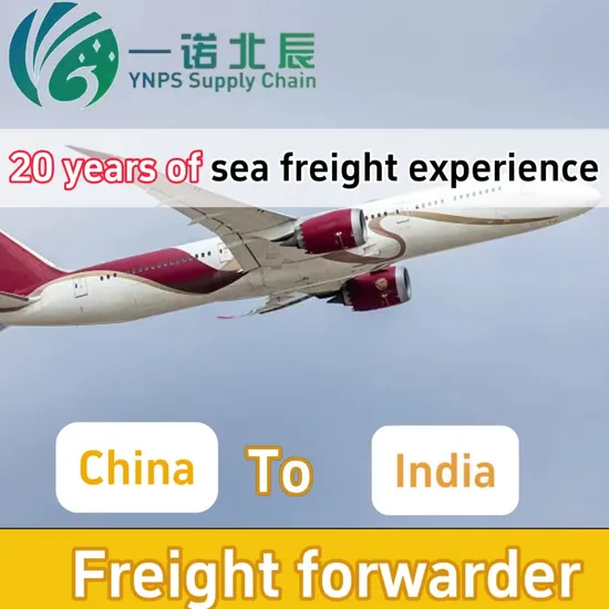 Global Freight, DHL, FedEx, and TNT Shipping From Shenzhen to India DDP Door to Door International Logistics