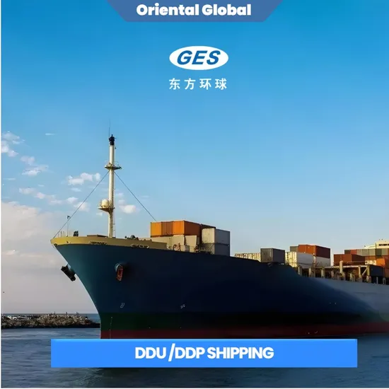 Sea Freight Logistics to USA: Reliable Door-to-Door Delivery From China to USA, Expert Freight Forwarder & Shipping Agent