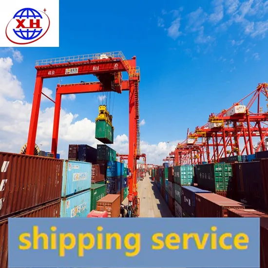 LCL FCL Container Shipping Agent International Logistics Sea Freight Forwarder
