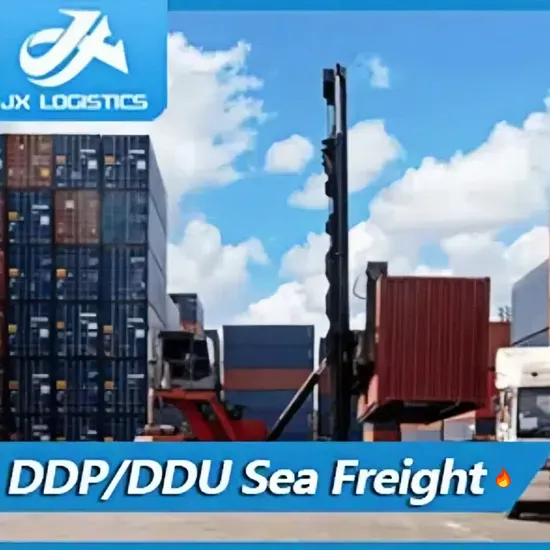 Top 10 Shipping Service Freight Forwarders Sea Shipping Agent to Europe/ America/UK