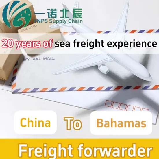 Freight Forwarders Offer Affordable Air Transportation From China to Bela/Uputu/Mozambique/South Africa /Bahamas Via DDP Freight