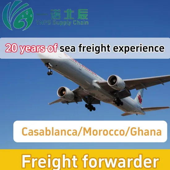 International Logistics DHL/UPS/FedEx/TNT From China to Casablanca/Morocco/Ghana DDP Door-to-Door Freight Shipping