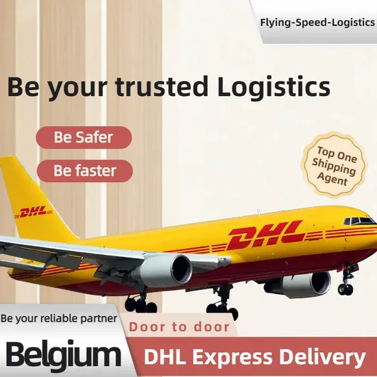 China to Belgium/USA Professional DHL Express Delivery, Door to Door, Freight Forwarder/Logistics