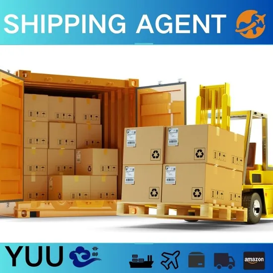 China Shenzhenfreight Orwarder to Canada USA UPS/FedEx/DHL International Express Freight Forwarder