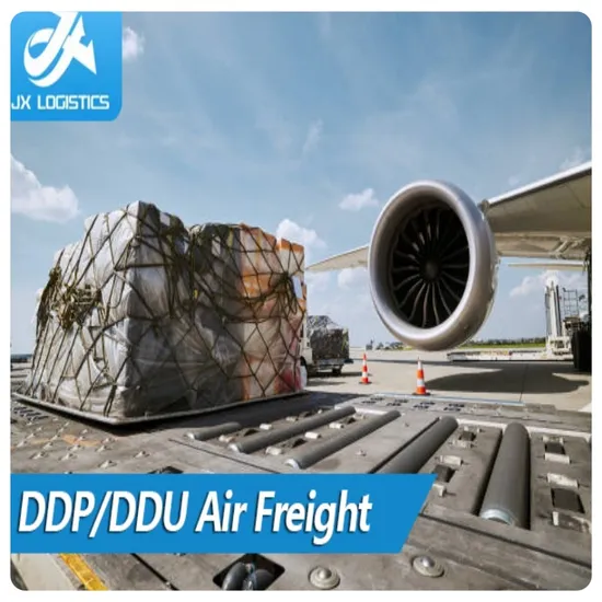 DHL/FedEx/UPS Door-to-Door Express Shipping Services Delivery to World