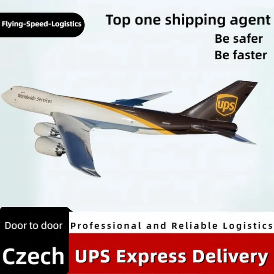 China to Czech/USA Professional UPS Express Delivery Shipping Agent, Door to Door, Freight Forwarder/Logistics