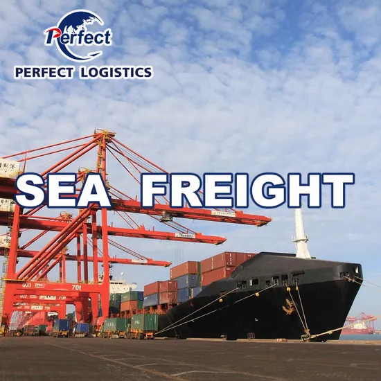 Sgipping Service Freight From China to Poland and Rwanda Logistics to Europe Price Shenzhen Shipping Agent for Mic