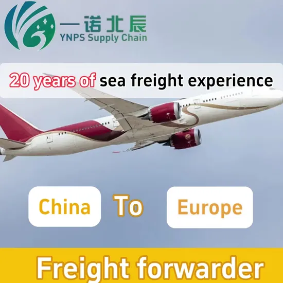 China Air and Sea Freight DHL/FedEx/UPS/TNT/From China to Europe, The United States, Russia, and Australia Freight