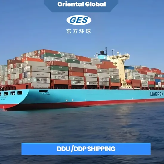 Reliable Freight Forwarder International Cargo Shipping Services From China to Vietnam