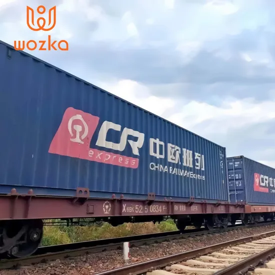 DDP Deliver to Bely Rast Moscow Russia From China by China Railway Express