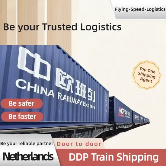 China to Netherlands/Spain Cheapest Railway Freight, Door to Door/Amazon, Freight Forwarder/Logistics