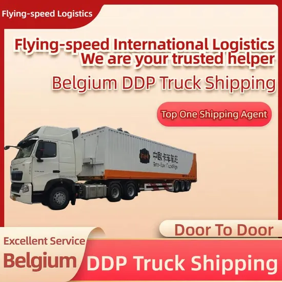 China to Belgium/USA Fast Road Freight/Amazon, Freight Forwarder/Logistics