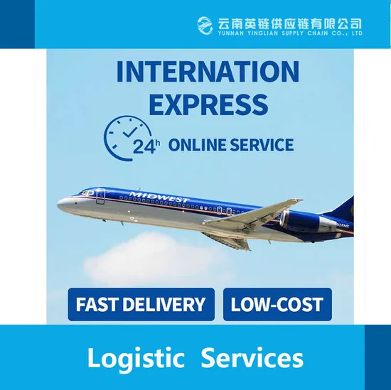 High Competitive Sea Freight Forwarder Logistics Shipping Quality Inspection Company From China to USA UK a-Mazon Fba Shipping