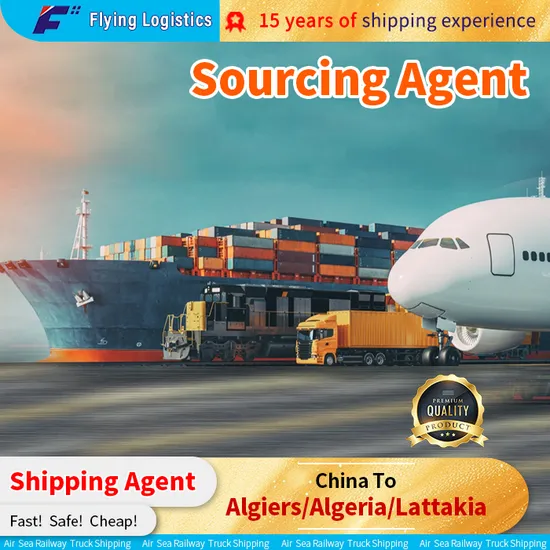 Shipping Agent Sea Freight Forwarder From China to Algiers/Algeria/Lattakia
