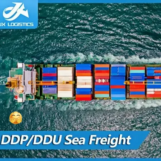 Sea Freight Shipping Agent From Shenzhen, Yiwu, China to World