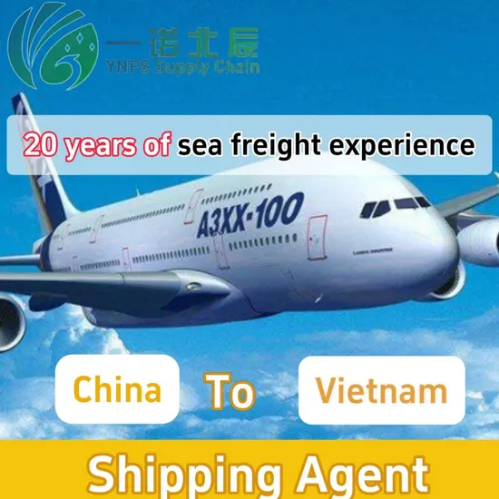 in 2024, Your Expectations Will Be One Step Ahead. Freight Forwarders Will Jointly Transport Air/Sea Freight From China to Vietnam Shipping Agent
