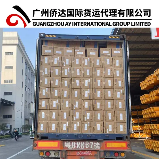 FCL Door to Door LCL DDP (Delivered Duty Paid) Shipping to Tanzania by Sea and Air