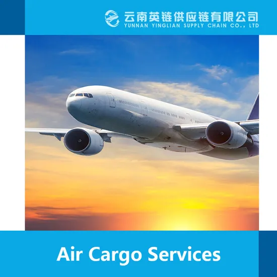 China Sends Global TNT UPS DHL FedEx International Shipping Agent Freight Forwarder Courier Quality Inspection Service Express