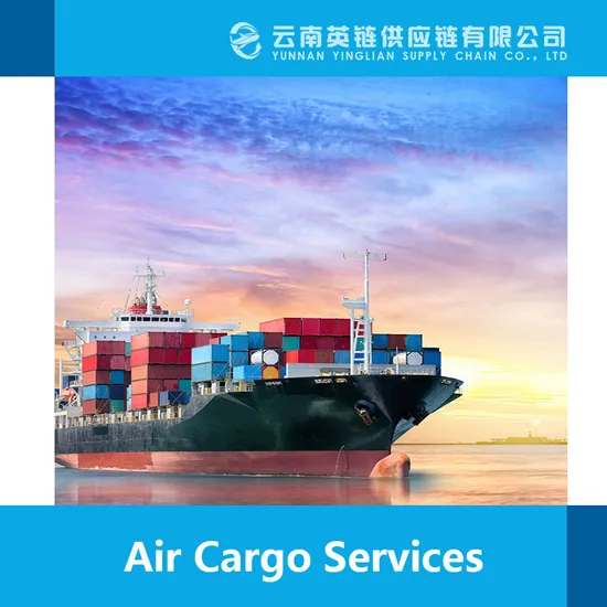 Professional Sea Freight Shipping International Logistic Company From China to Bangladesh Chittagong FCL/LCL Inspection Service