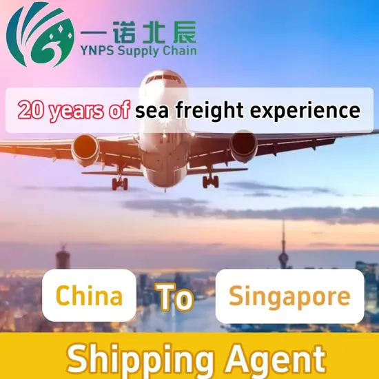for Sea and Air Freight From China to Singapore, Choose Cheap and Safe Logistics Companies Including Shipping Companies and International Carriers Like Freight