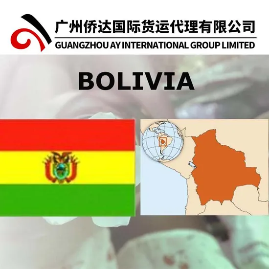 DDP Shipping Freight From China to Bolivia/Container Shipping to Bolivia (La Paz) Via Arica or Iquique, Chile