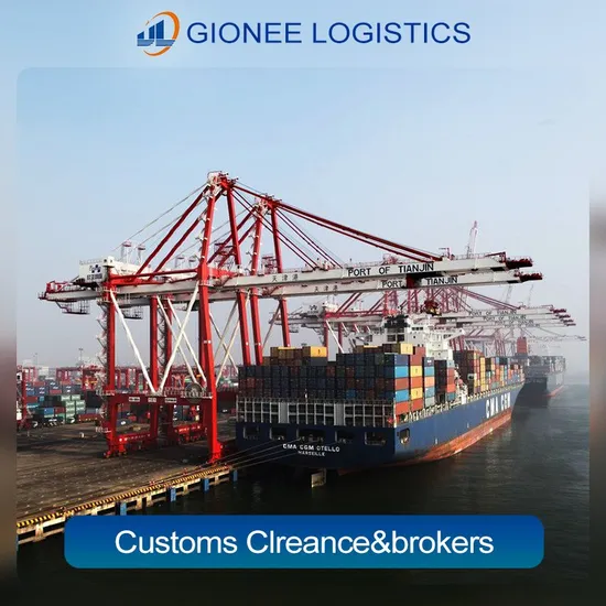 Freight Forwarder Warehouse Door to Door Customs Clearance Service From China to Worldwide