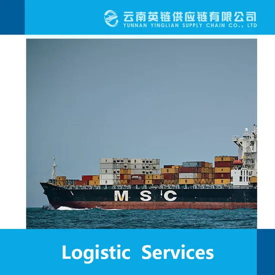 Cheap Double Customs Clearance by DHL Rates Shenzhen Shipment to Saudi Jeddah/Myanmar/Nigeria/Kenya Aramex Shipping to Phil