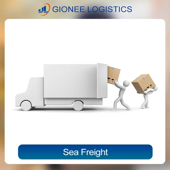 Sourcing Consolidate Agent Warehousing Service Warehouse in Shenzen