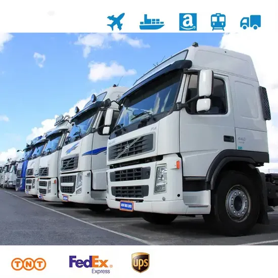 Customs Clearance Land Transportation DDU/DDP Shipping Freight to Turkmenistan
