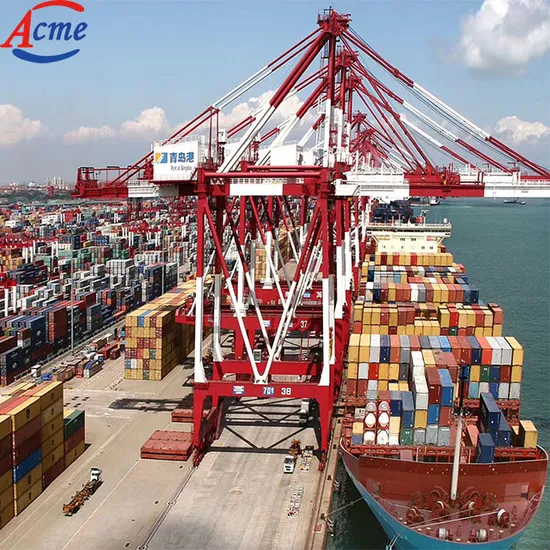Best Sea Freight Forwarder From China to England France Germany Italy Switzerland Shipping Agency