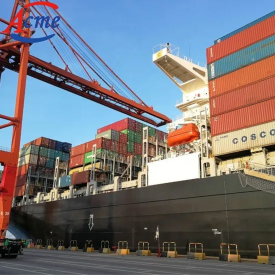 Ocean Shipping Agent China to Australia Singapore Shipping Agent Freight Forwarder Services
