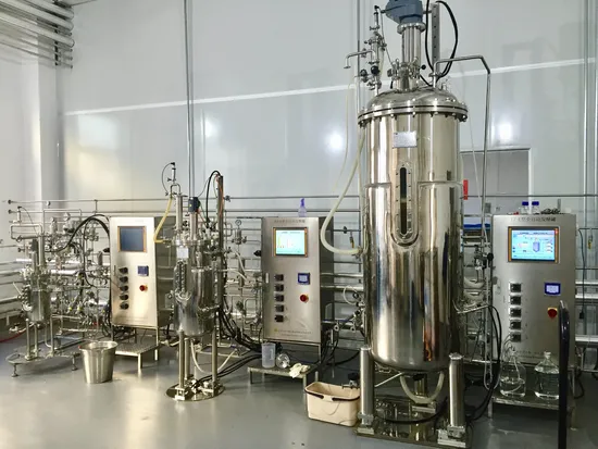 300L Stainless Steel Fermentation Tank