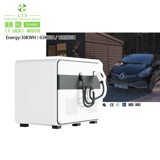 Hot Sale DC200V-750V Energy Storage Emergency Road Rescue DC Fast EV Charging Station Portable Mobile Battery EV Charger