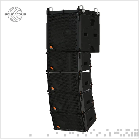 10inch Audio Line Array System Passive Wooden Outdoor Speakers with Transducers for Sale of DJ Sound Box Professional