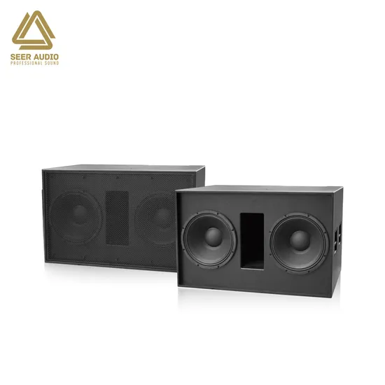 Td-218b Dual 18 Inch Professional Audio Digital Amplifier Home Theatre System Line Array
