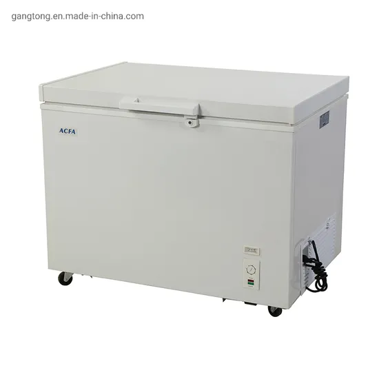 China Manufacturer Wholesale Price Meat Showcase Deep Freezer Foam Door Chest Freezer with Lock Bdbc-310