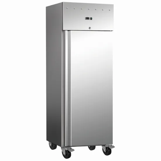 Commercial Refrigeration Equipment Fridge Air Cooling Workbench Chest Pizza Salad Bar Under Counter Display Stainless Steel Kitchen Refrigerator for Restaurant