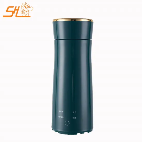 Boil Water Kettle for Car 12V Stainless Steel Insulation Car Electric Heating Cup Water Heater Car Water Heating Kettle