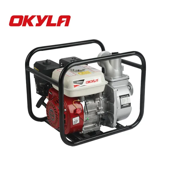 Okyla Cheap Factory Price Gasoline Petrol Water Pump Wp20 Wp30 with 168/170 7.5HP Engine for Hot Sale