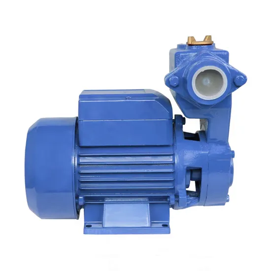 High Quality Electric Peripheral Pump Cast Iron Self Priming Water Booster Pump