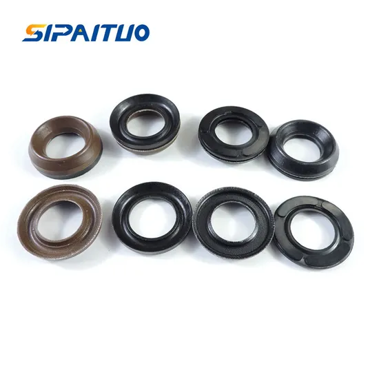 Pressure Washer Pump Interpump Seal W140 W154 of Kit 127
