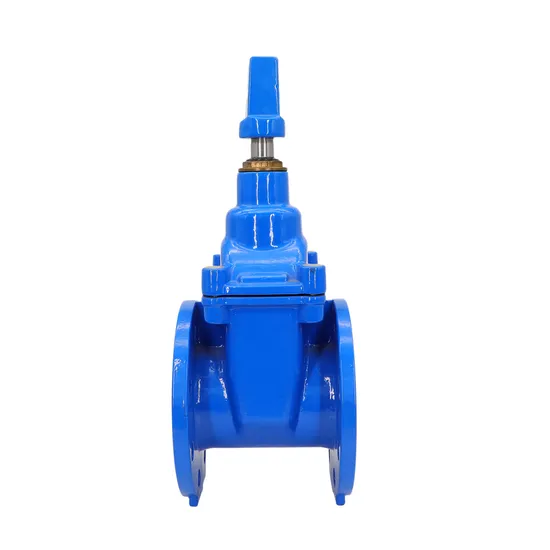 DIN BS ANSI Flange DN50-600 DIN3202 BS5163 F4 F5 BS 5163 Gate Valvedi Body Resilient Seat Check Valve/Control Valve/Gate Valve Flanged Ends Pn10/16