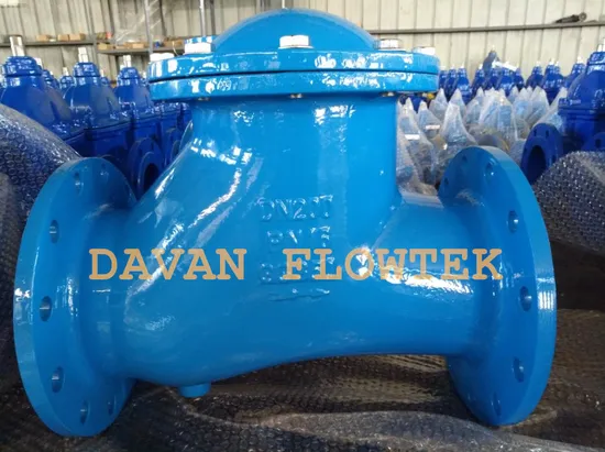 DN500 Flanged Gate Valve Cast Ductile Iron Ggg50 Pn10 Brass Seat with Damper Water Industrial Swing Check Valve