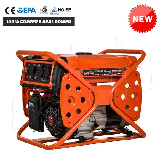 Bison 2000 3000 3500 5000 6500 7000 8000 Watt Electric Power Portable Small Petrol Gasoline Generator