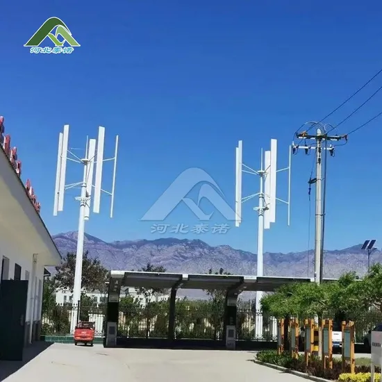 Tainuo High Performance Customizable China Small Wind Turbine Generators