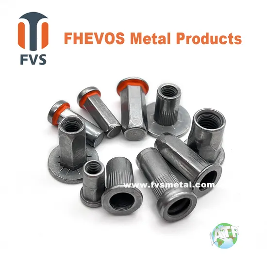 Pop Rivet Nut for Car Stainless Steel Flat Head Full Hexagon Blind Rivet Nut Rivet Bolt for Auto Fastener Rivet Stud