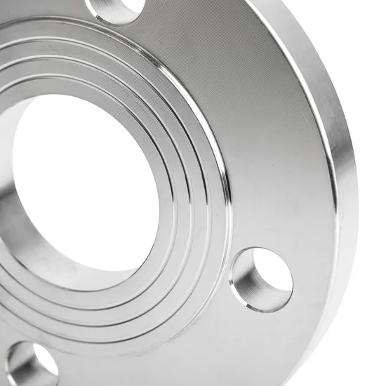 Standard Flange DN50 Pn16 316L Plate RF Forged Stainless Steel Flange Plate Flange Customized Flange