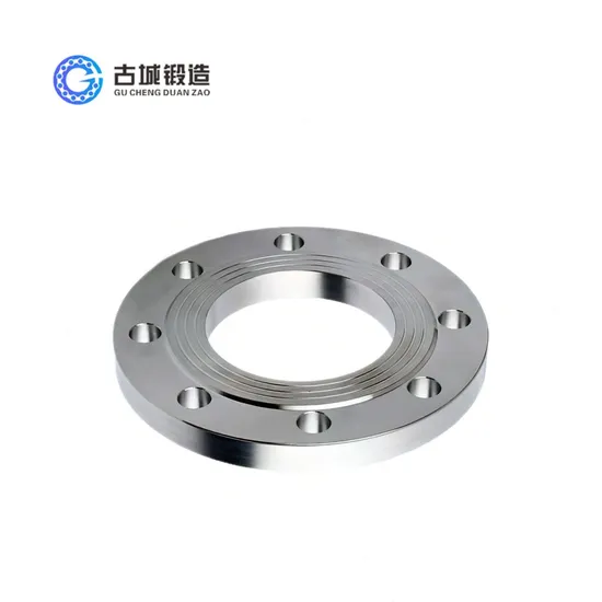 Forging Flange 304 Stainless Steel Flange Blind Flat Welding Flange