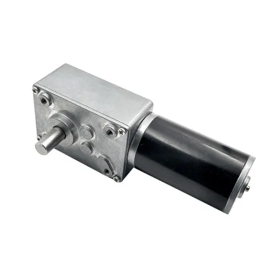 Screw/D-Shape/Dual Shaft 5840wg31 Low Rpm 12V 24V Micro Electric Brushed/Brushless DC Worm Gear Motor with Encoder